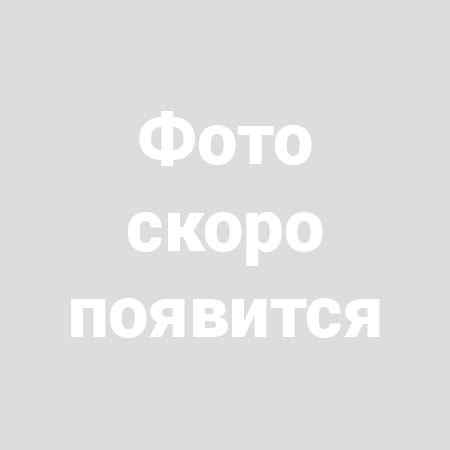 Амортизатор стиральной машины Zanussu, Electrolux 1322553015, 1240172104, 1268832712, SAR003ZN, 80N Китай